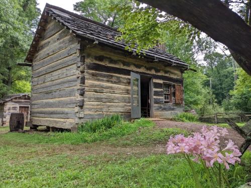 A rustic log cabin surrounded by greenery, with a door open and pink flowers in the foreground.