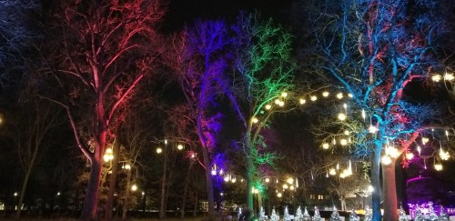 Colorful lights illuminate trees at night, creating a festive atmosphere with glowing lanterns and decorations.