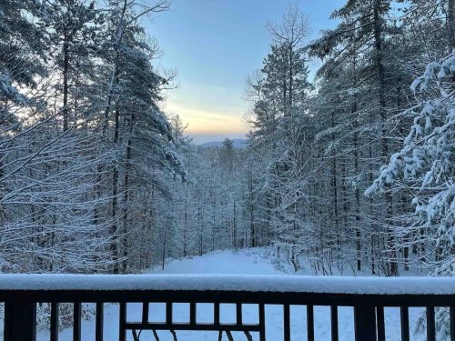 A snowy landscape with trees and a path, viewed from a wooden railing at dawn.