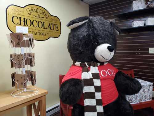 A large teddy bear in a red shirt and scarf sits in a chocolate factory, with a display of cards nearby.