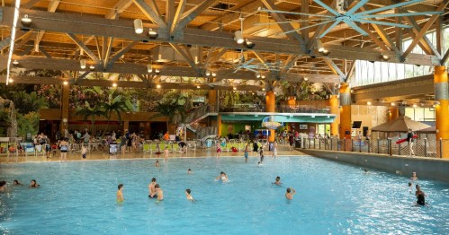 Indoor swimming pool with people enjoying the water, surrounded by tropical plants and a bright, spacious atmosphere.