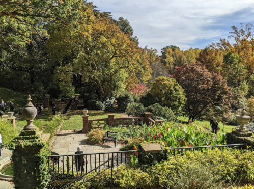A scenic garden with colorful autumn foliage, stone pathways, and benches surrounded by lush greenery.