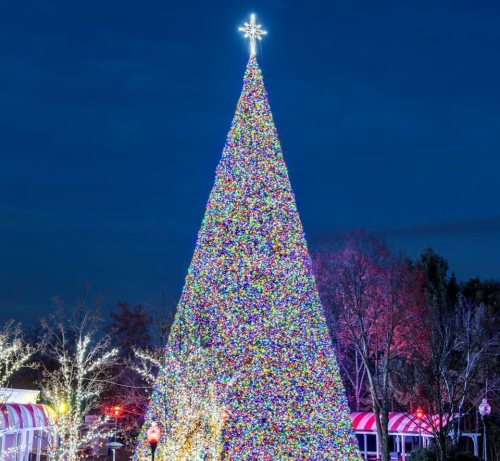 A brightly lit Christmas tree adorned with colorful lights, set against a dark evening sky.