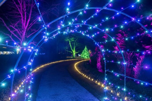 A pathway illuminated by colorful lights, leading through an archway with trees and a glowing Christmas tree in the background.