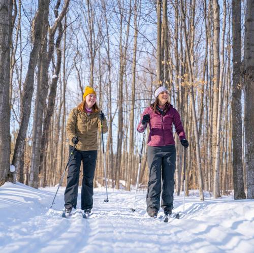 Two women cross-country skiing on a snowy trail surrounded by bare trees in a winter landscape.