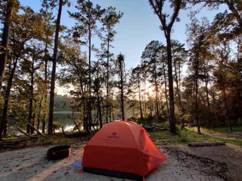 A bright orange tent set up by a serene lake, surrounded by tall trees and a peaceful morning sky.