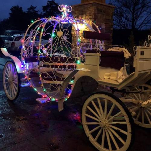 A beautifully lit carriage adorned with colorful lights, parked in a dimly lit area.