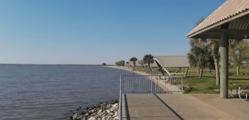 A serene waterfront view with a wooden deck, grassy area, and palm trees under a clear blue sky.
