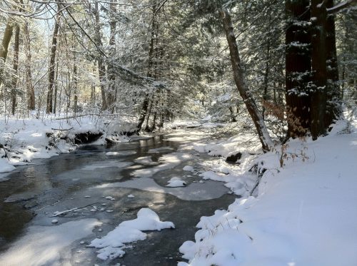 A serene winter scene with a partially frozen creek surrounded by snow-covered trees.