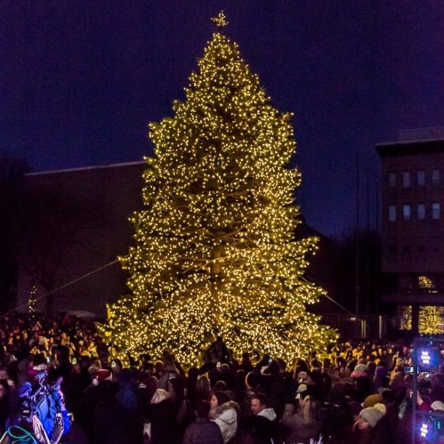A large, illuminated Christmas tree surrounded by a crowd of people at a festive event.