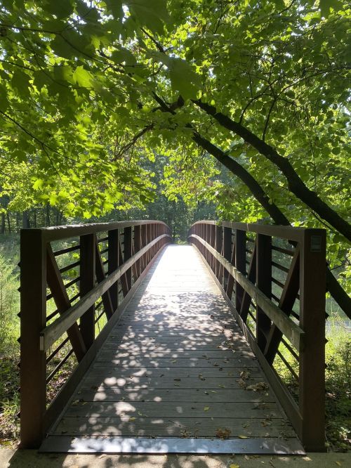 A wooden bridge surrounded by lush green trees, leading into a sunlit path.
