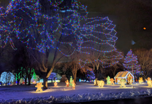 Colorful holiday lights illuminate trees and festive decorations in a snowy park at night.