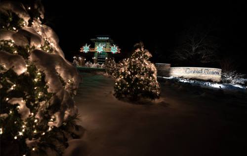 A snowy scene at night featuring illuminated Christmas trees and a festive entrance sign.