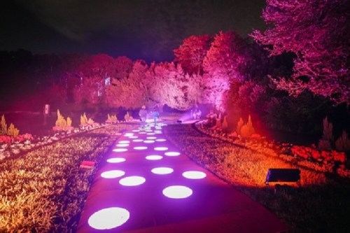 A brightly lit garden path at night, featuring colorful circular lights and lush greenery.