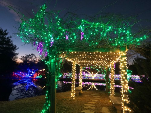 A beautifully lit pathway with green and purple lights, leading to a pond surrounded by colorful holiday decorations.