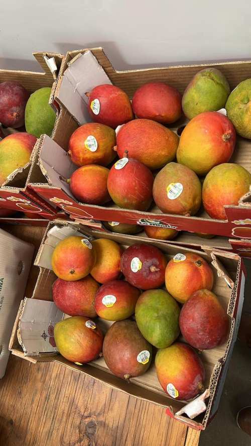Two boxes of colorful mangoes, varying in shades of red and green, stacked on a wooden surface.