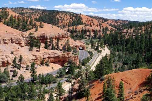 A winding road through red rock formations and green pine trees under a blue sky with fluffy clouds.