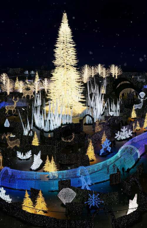 A beautifully lit winter scene featuring a large white Christmas tree and colorful light displays in a park at night.