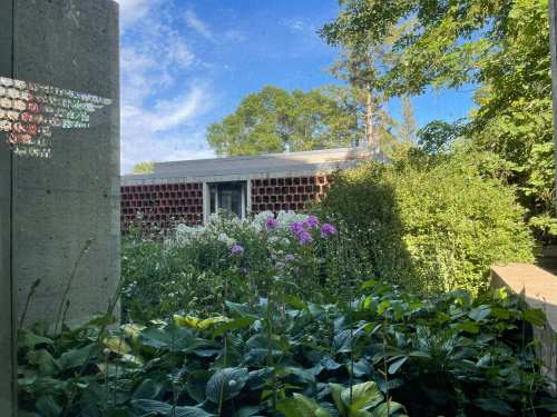 A view of a garden with colorful flowers and greenery, framed by a modern building under a clear blue sky.