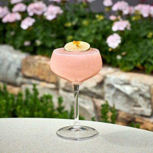 A pink cocktail garnished with a lemon slice, served in a elegant glass, with a floral background.