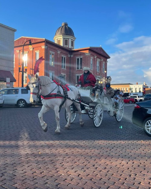 A white horse pulls a carriage with two passengers, set against a historic building and blue sky.