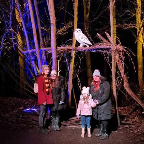 A group of four people stands in a forest at night, with an owl perched on a branch above them, surrounded by colorful lights.