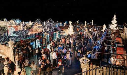 A bustling holiday market filled with people, decorated with colorful lights and festive displays at night.