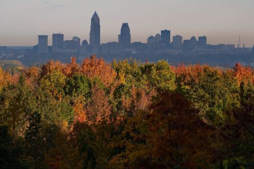 City skyline in the background with vibrant autumn foliage in the foreground.