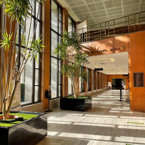 Bright interior of a building featuring large windows, potted plants, and a sign for the "Delivering Wing."
