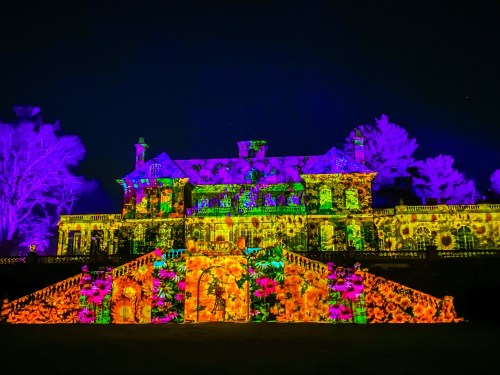 A grand mansion illuminated with vibrant floral projections against a dark night sky.