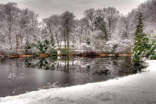 A serene winter scene featuring a snow-covered landscape and a still pond reflecting trees and a cloudy sky.