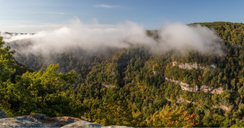 A scenic view of a lush green valley with fog rolling over the treetops under a clear blue sky.