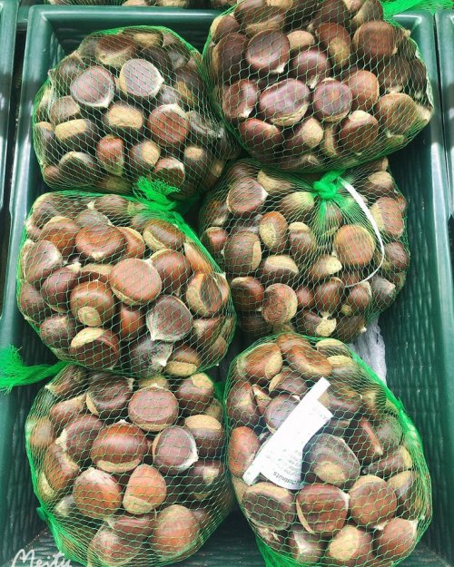 Bags of clams in green mesh netting displayed in a market.