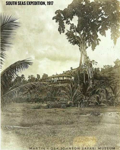 Historic photo of a large building surrounded by lush greenery, taken during the South Seas Expedition in 1917.