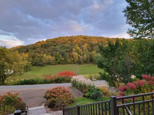 A scenic view of a hillside with autumn foliage, framed by colorful flowers and greenery in the foreground.