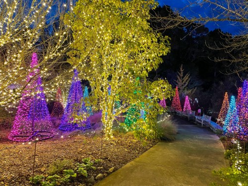 A pathway through a garden illuminated by colorful, glowing Christmas trees and twinkling lights at dusk.