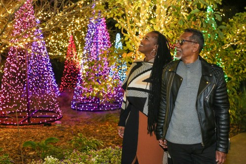 A couple admires colorful holiday lights in a garden, surrounded by illuminated trees and festive decorations.