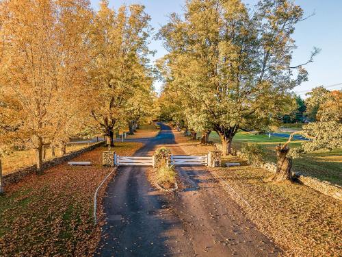 A scenic autumn view of a tree-lined road with vibrant fall foliage and a white gate at the entrance.