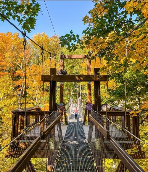 A suspension bridge surrounded by vibrant autumn foliage, leading into a colorful forest.