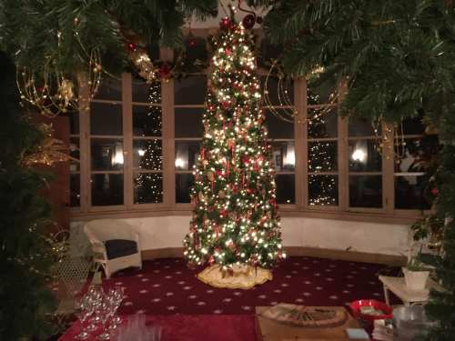 A beautifully decorated Christmas tree with lights and ornaments, surrounded by greenery in a cozy room.