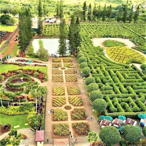 Aerial view of a lush garden with intricate hedges, pathways, and a pond surrounded by trees and visitors.