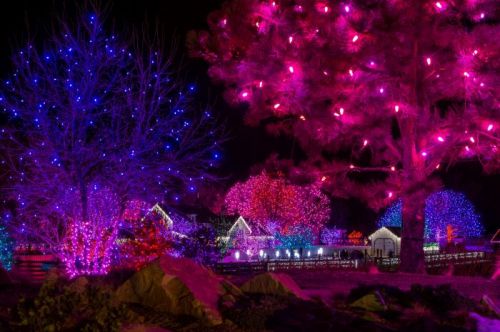 Colorful holiday lights illuminate trees and buildings in a festive nighttime scene.
