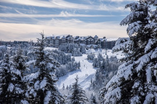 A snowy landscape with a ski resort in the background and skiers on a slope surrounded by evergreen trees.