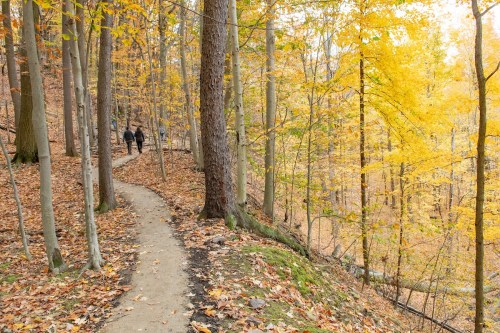 Two people walk along a winding path through a forest with vibrant autumn foliage.