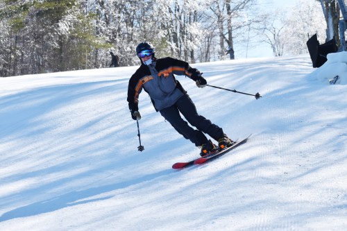 A skier in a gray and orange jacket glides down a snowy slope on a sunny day. Trees line the background.