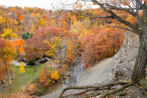 A scenic view of autumn foliage with vibrant orange and yellow trees, a winding creek, and a rocky cliff.