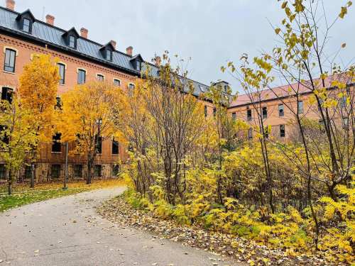 A pathway winds through trees with autumn leaves, leading to a brick building under a cloudy sky.