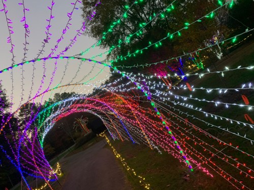 A colorful display of holiday lights creates an archway over a pathway, with vibrant hues of red, green, and white.