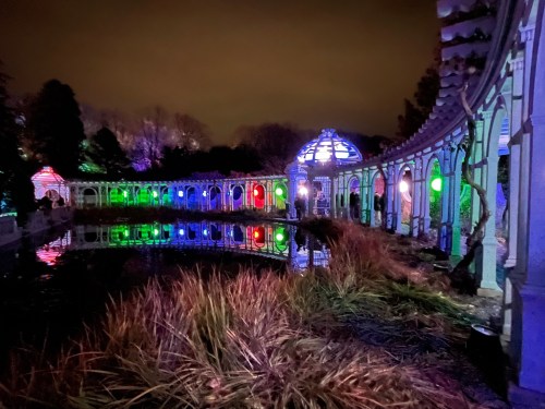 A serene garden at night, featuring colorful lights reflecting on a pond surrounded by lush greenery.