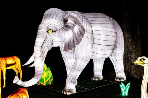 A large illuminated elephant sculpture with yellow eyes, surrounded by colorful lighted plants and animals at night.